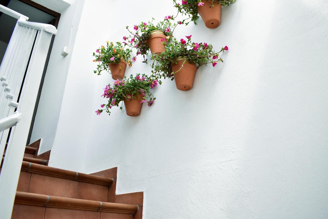 Casa Calma Ronda Estudio Apartment Luaran gambar